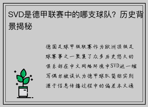 SVD是德甲联赛中的哪支球队？历史背景揭秘