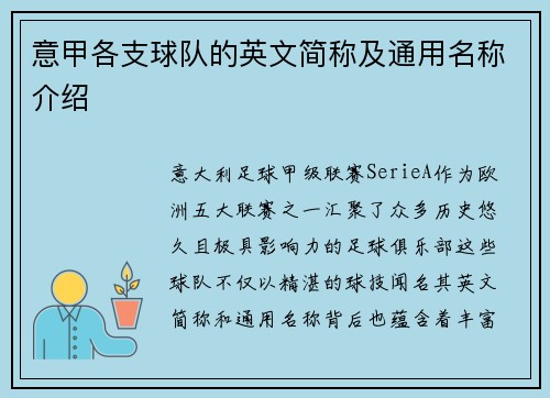 意甲各支球队的英文简称及通用名称介绍