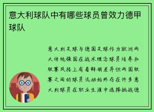 意大利球队中有哪些球员曾效力德甲球队